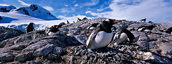 全球上线！重拾游戏之夜体验 战术桌游风冒险游戏《破碎族裔》正式发布